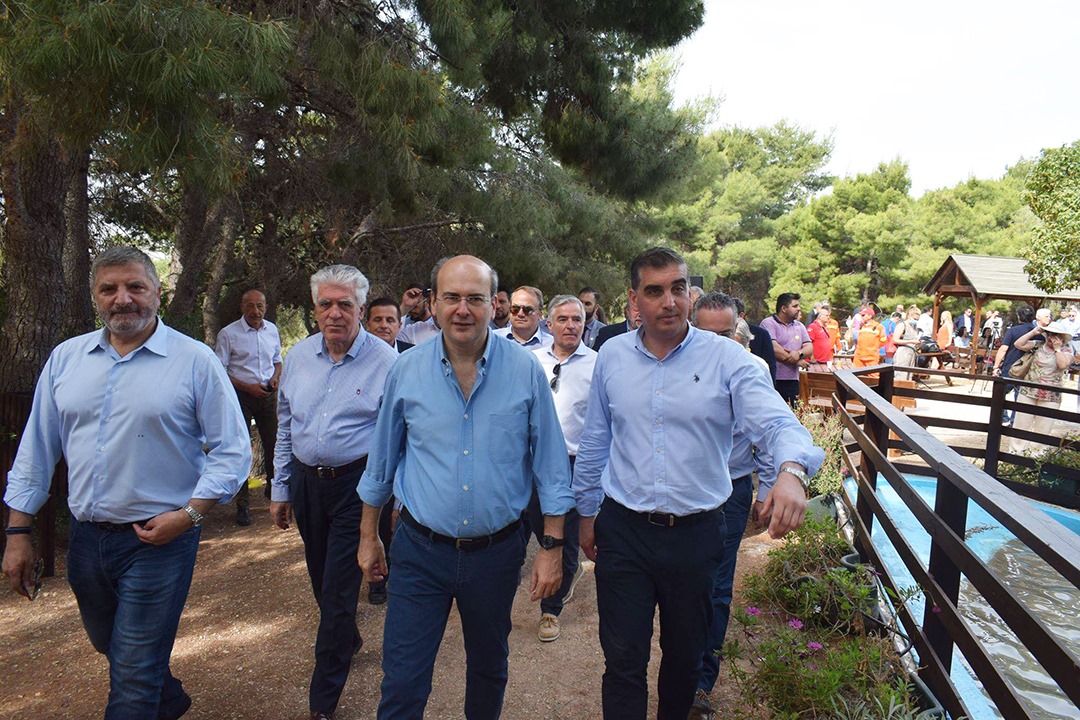 6 ΜΟΝΟΠΑΤΙΑ 2