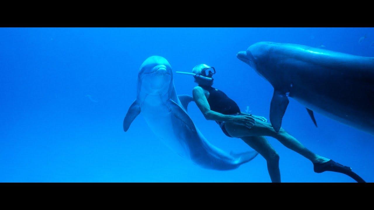 Dolphin man
