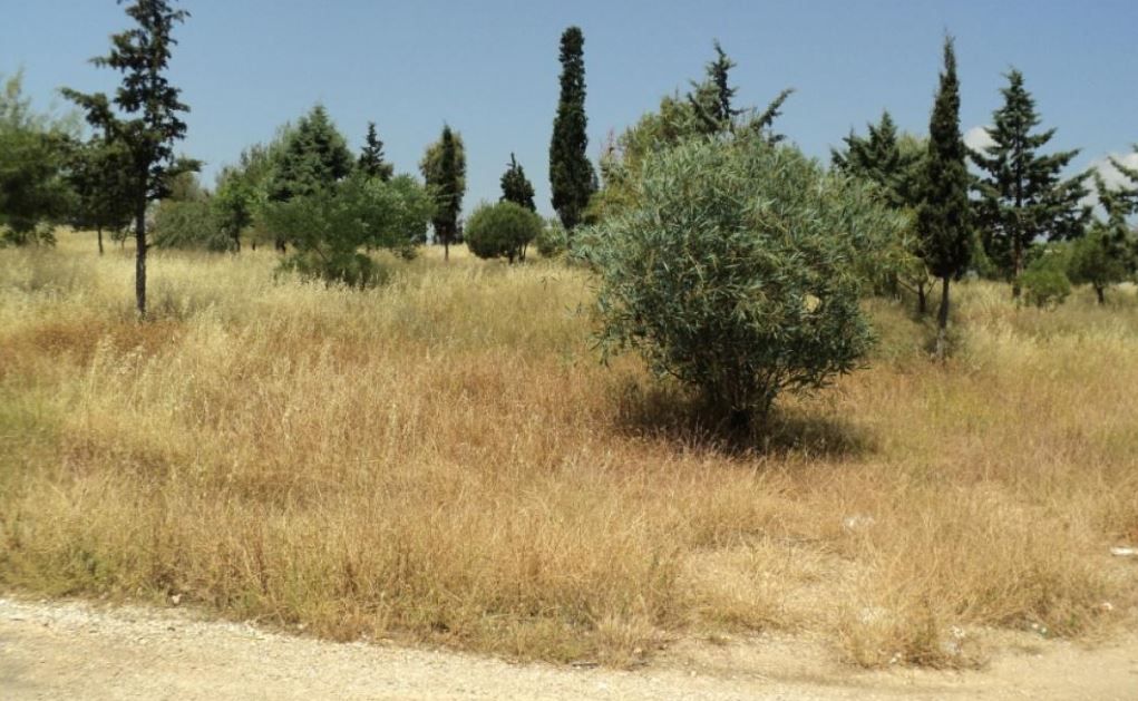 Παράταση για τις δηλώσεις καθαρισμού οικοπέδων στην ψηφιακή  πλατφόρμα akatharista.apps.gov.gr
